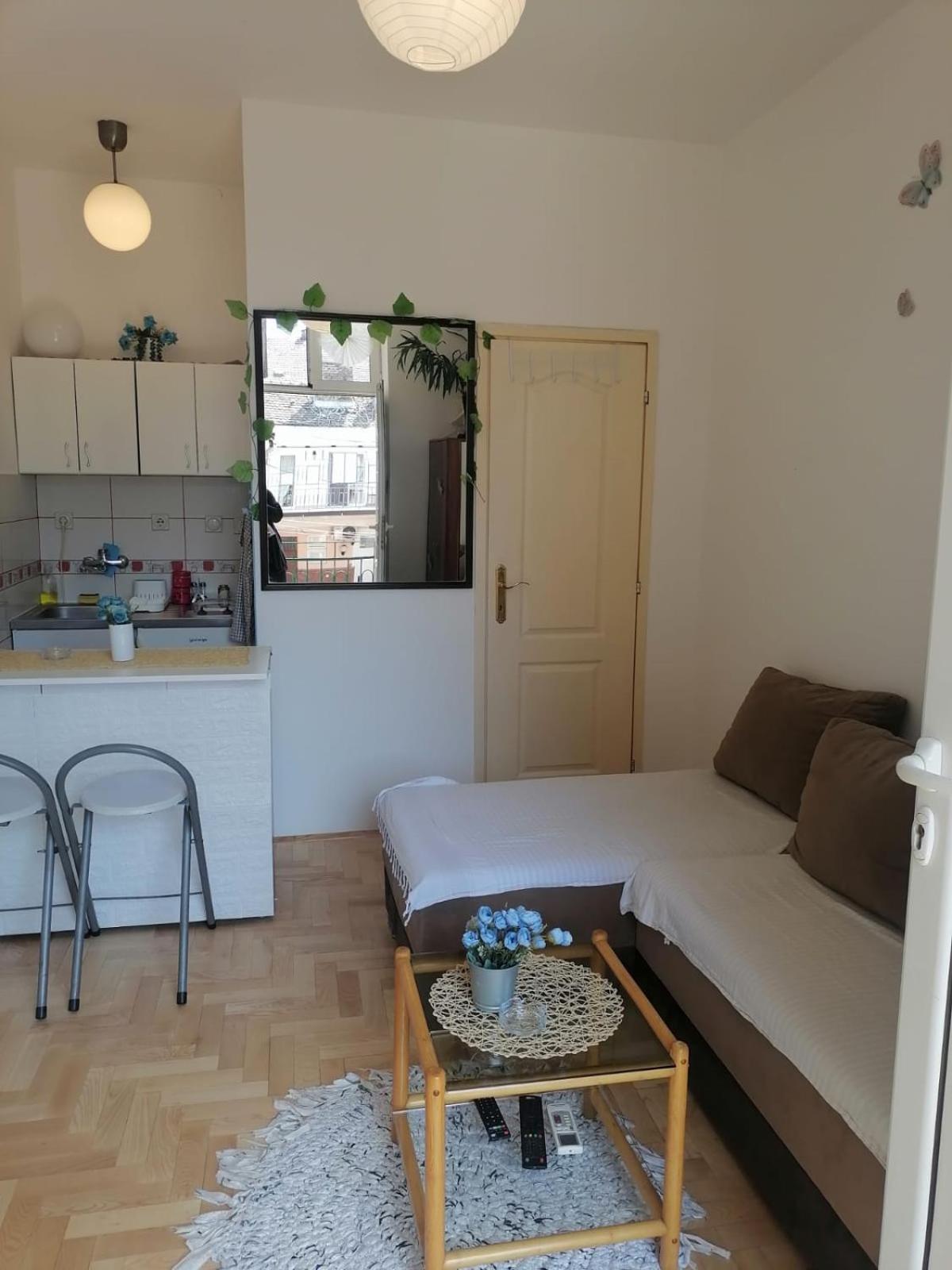 Small Low Cost Studio Belgrado Exterior foto